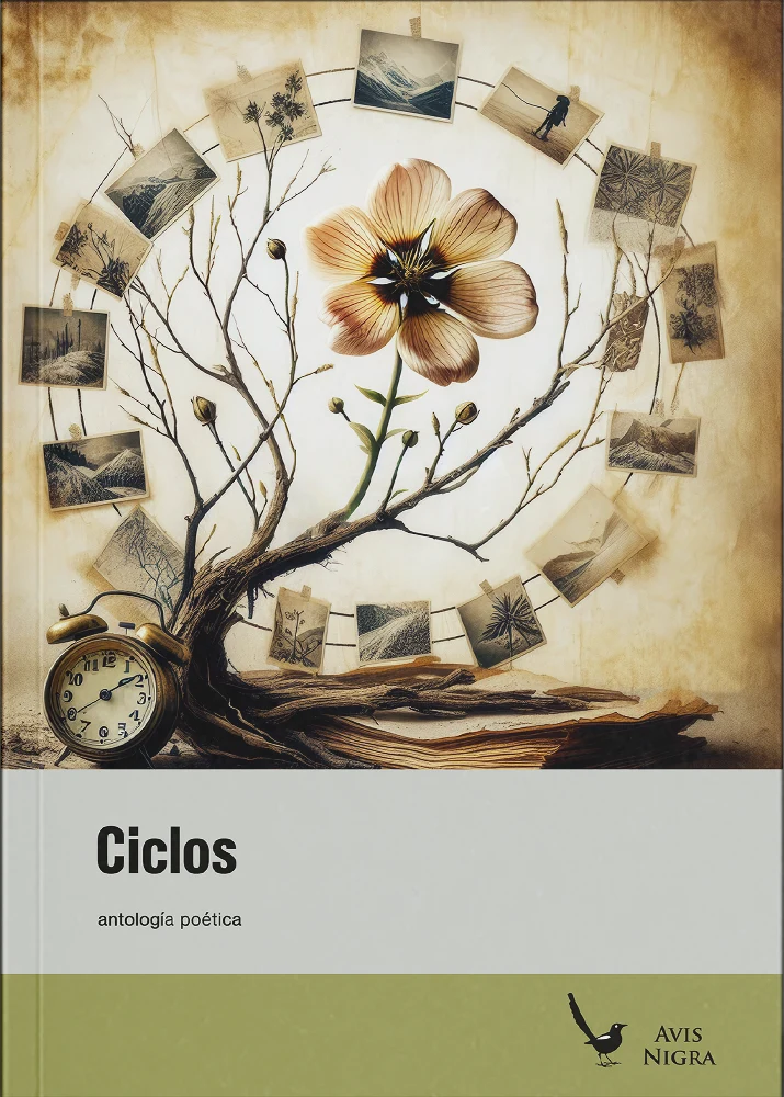 Ciclos