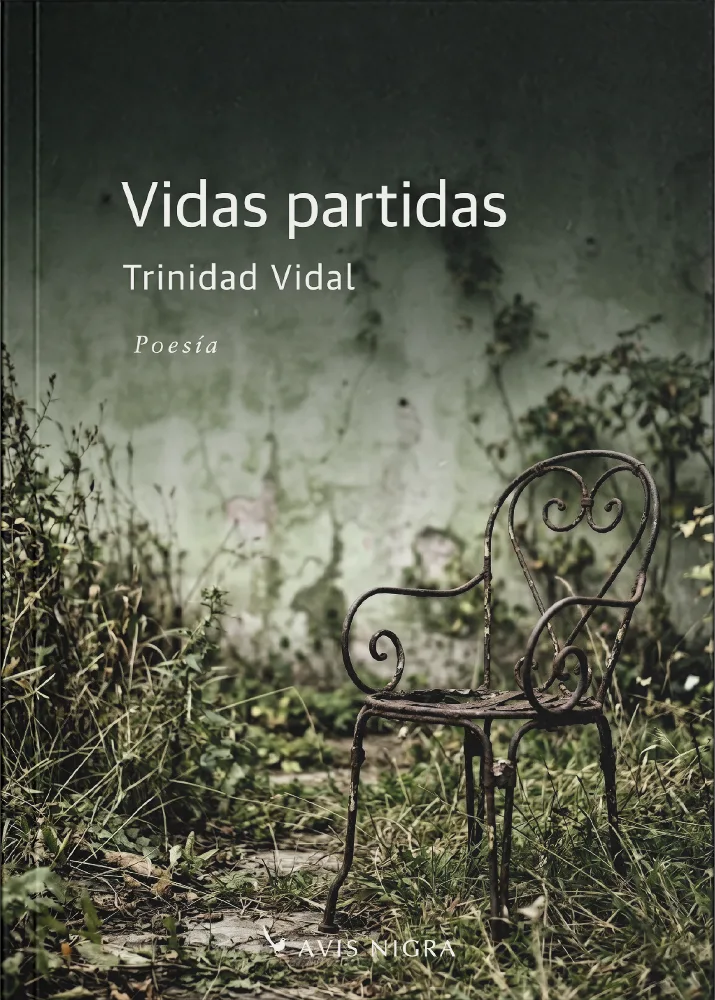 Vidas partidas